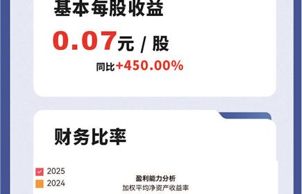 hb火博集团2024年年报及2025年一季报图解